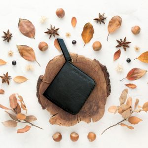 محافظ مموری کارت و باتری، کیف کارت حافظه دوربین